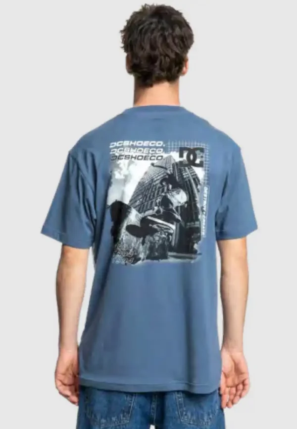 Remera DC Shoes Whereabouts