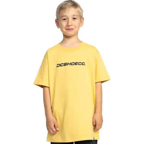 Remera DC Shoes Whereabouts Kid Remera DC Shoes Whereabouts Kid