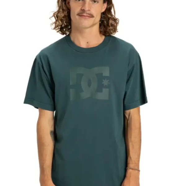 Remera DC Shoes Pigment Dye