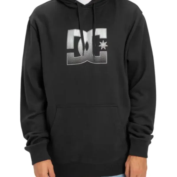 Hoodie DC Shoes Reflective Kid