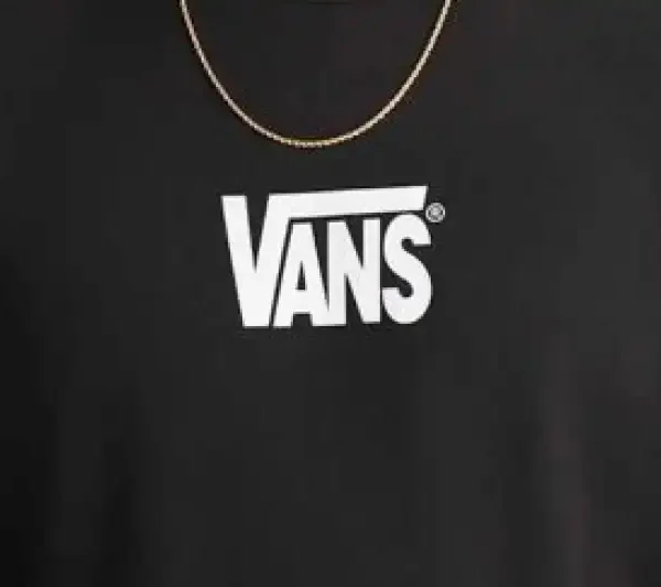 Hoodie Vans Strech Logo